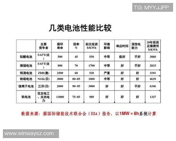 弗格的崛起与挑战：探索未来科技与人类的关系与发展路径