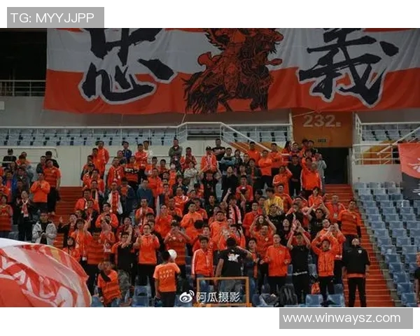 庆南与鲁能历史交锋成绩分析及未来对决展望