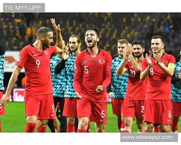 2020欧国联激战回顾塞尔维亚与土耳其的精彩对决与战术分析 2020欧国联激战回顾塞尔维亚与土耳其的精彩对决与战术分析