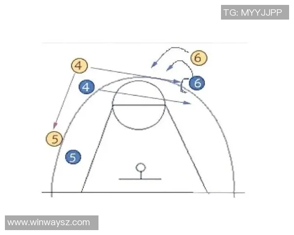 深入探讨重庆篮球队技术表现的数据分析与战术优化研究
