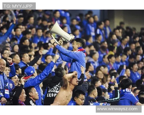 鹿鹿角对阵上海申花精彩直播回顾与赛后分析