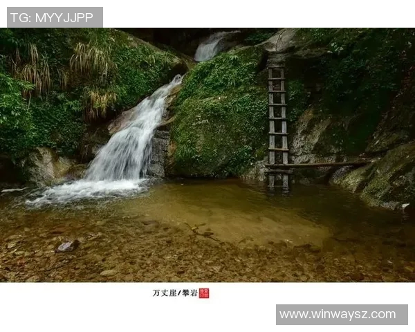 李伟的攀岩之路：从初学者到顶尖高手的心路历程与成长分享